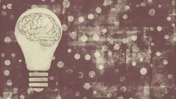 light bulb, brain, mind-5689707.jpg